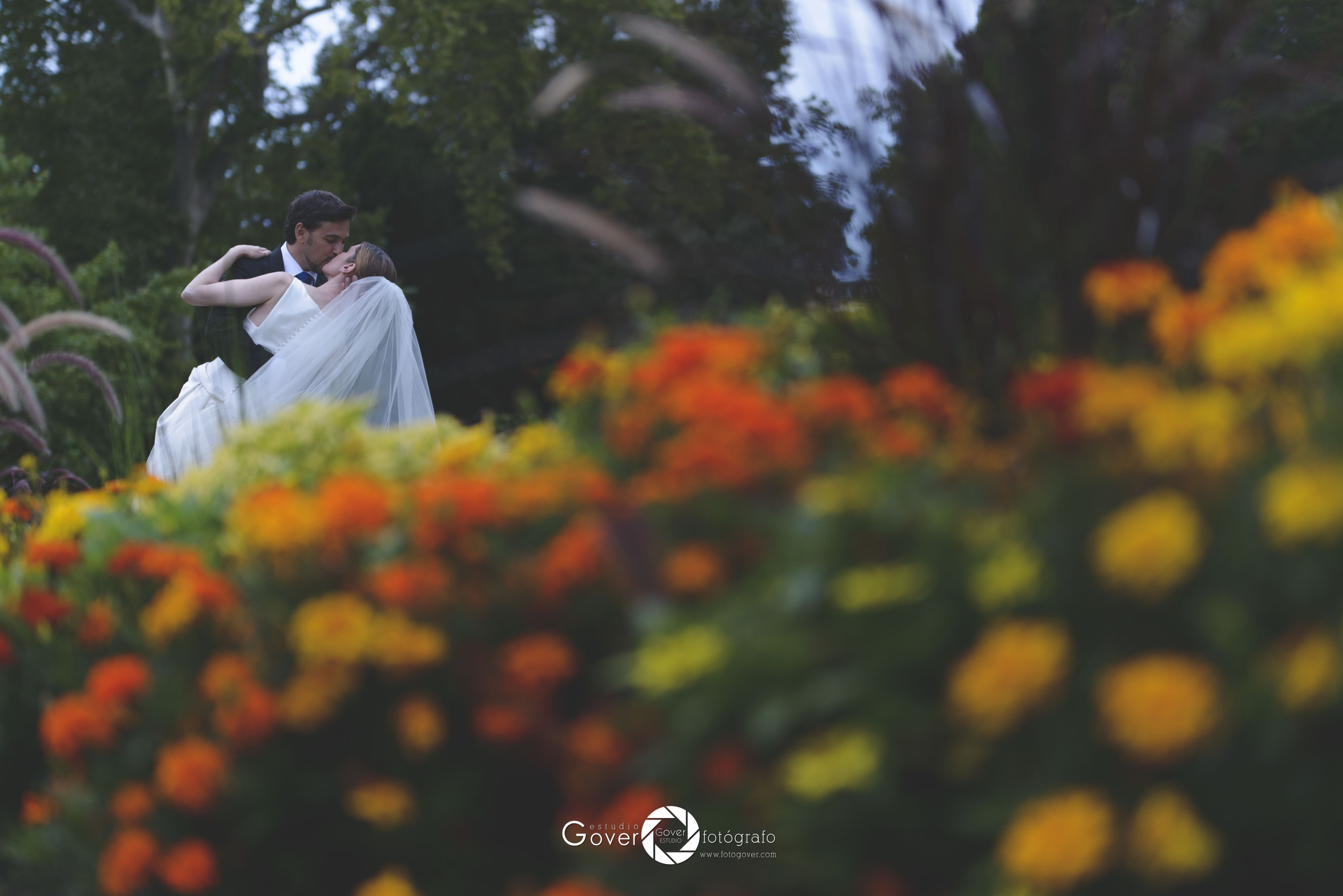 Bodas Gipuzkoa